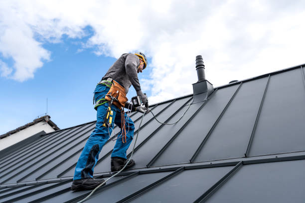 Best Roof Maintenance and Cleaning  in Fort Pierce, FL